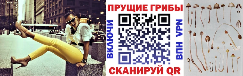 Галлюциногенные грибы Psilocybe  мега как войти  Артёмовск 